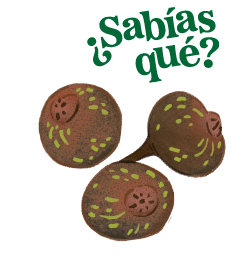 Texto '¿Sabías que?