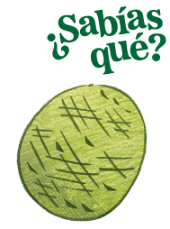 Texto '¿Sabías que?