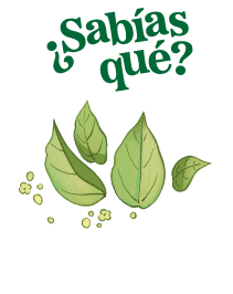 Texto '¿Sabías que?